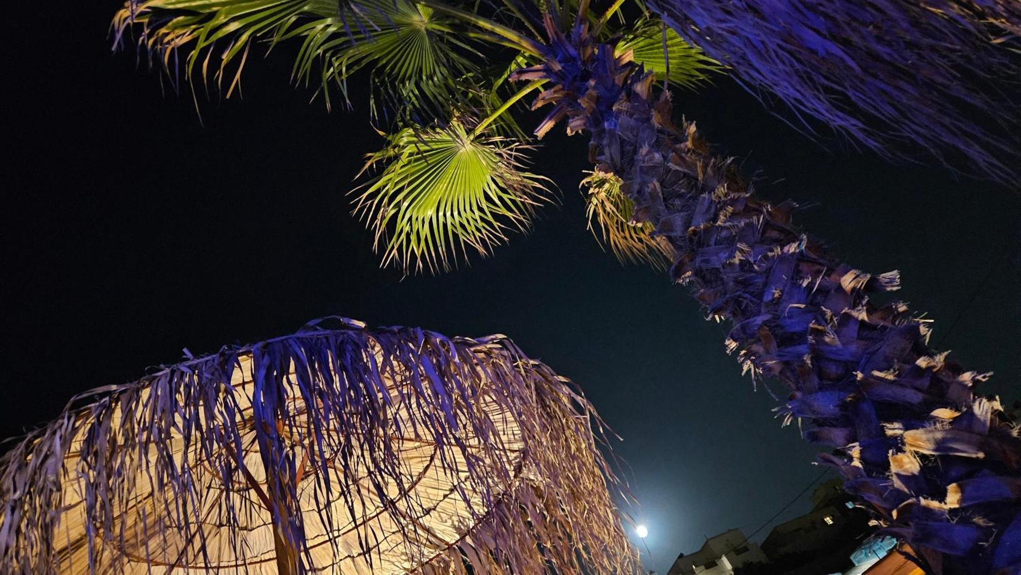 Elli Tropical Suites Mykonos Town Экстерьер фото