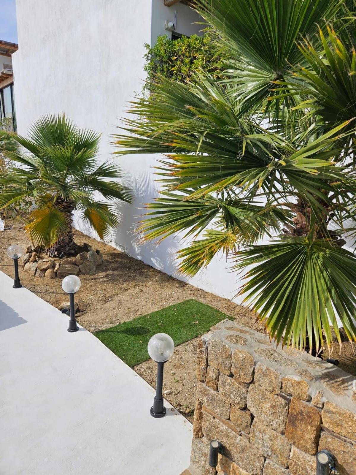 Elli Tropical Suites Mykonos Town Экстерьер фото